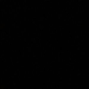 Meet your Posher, Kelise